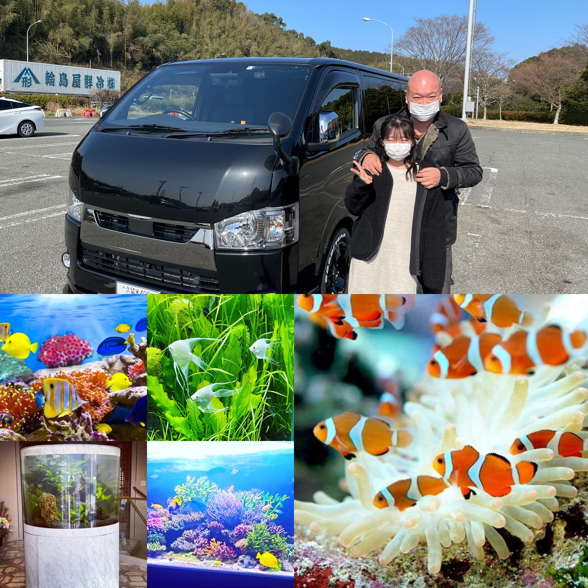 ���������e�i���X����