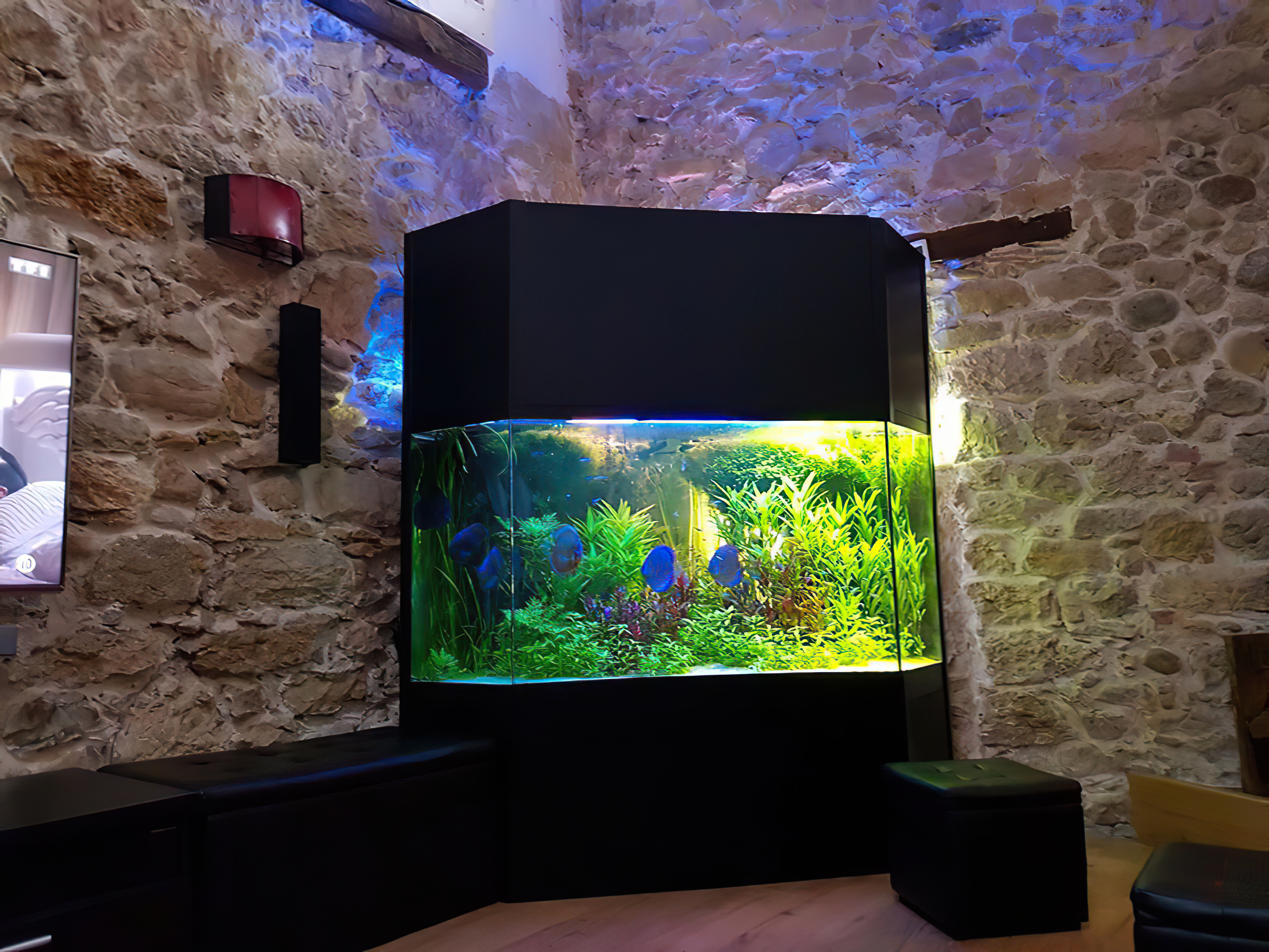 �F�{�������[�X