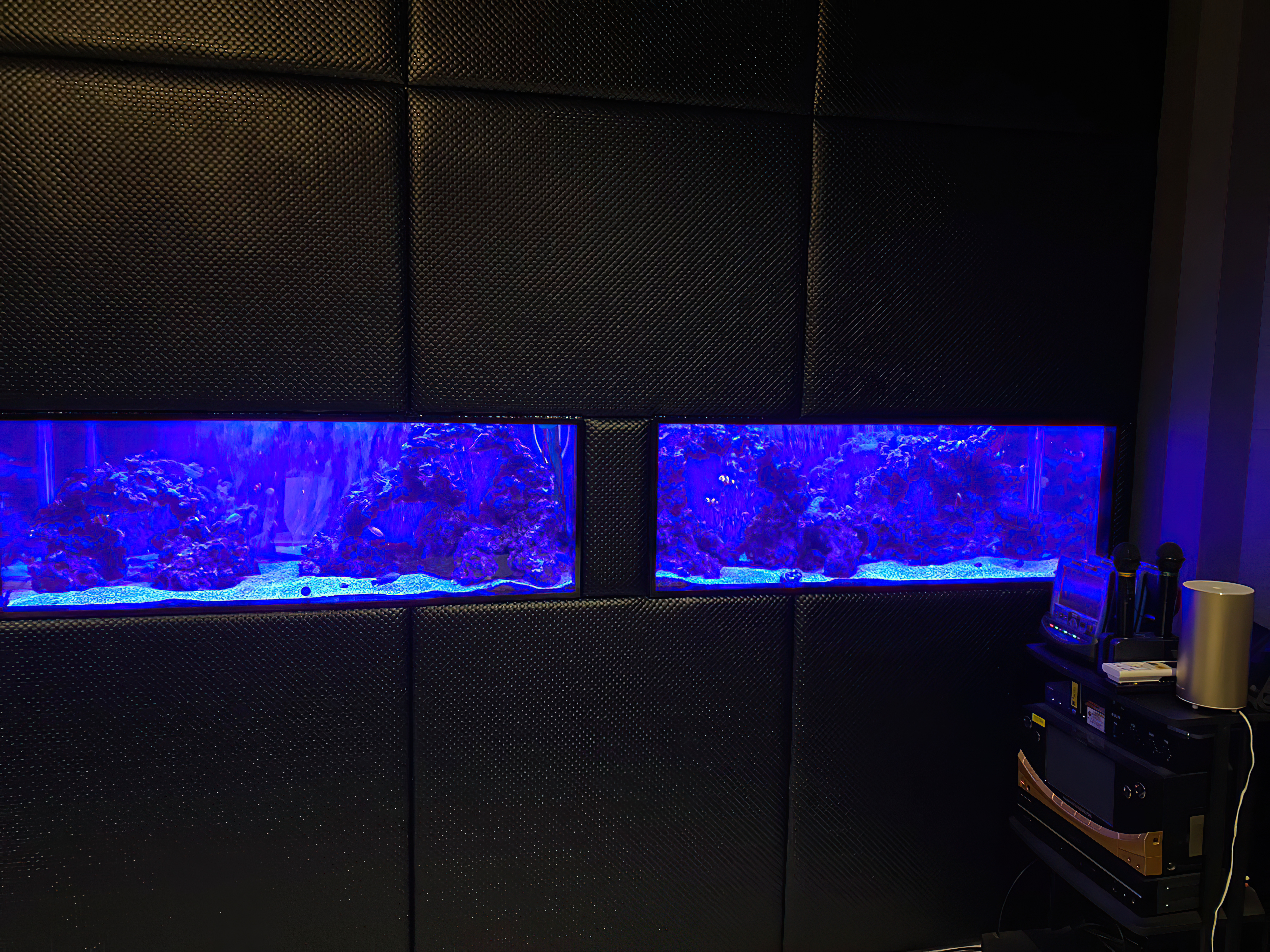 �A�N�A���E������