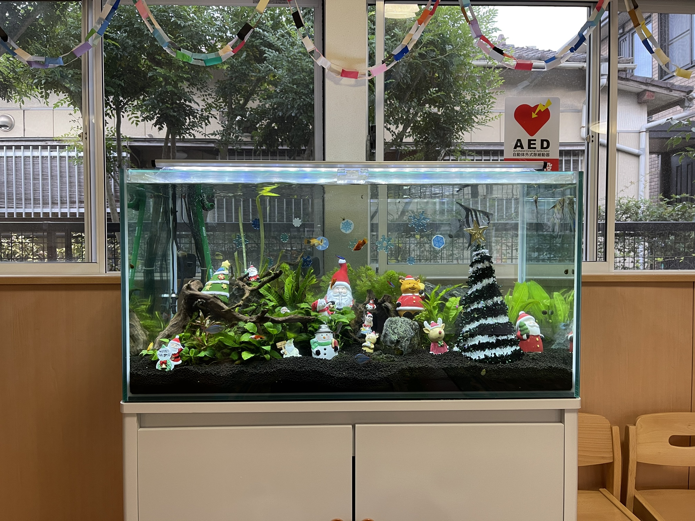 水槽リース佐賀