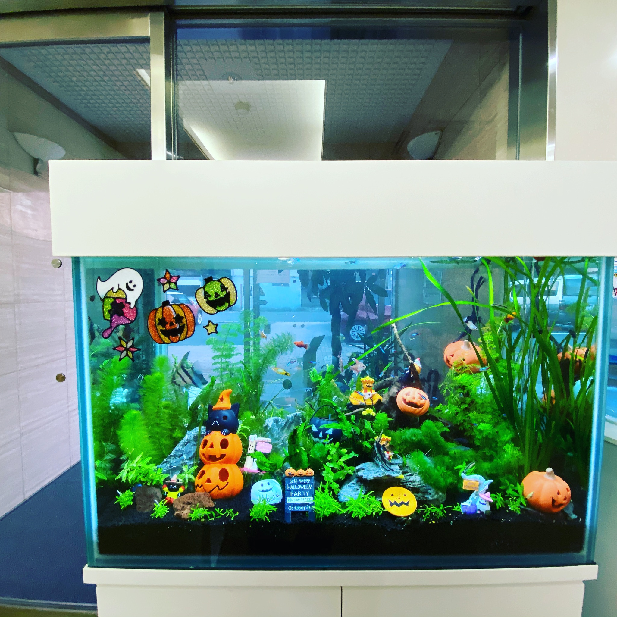 ハロウィンアクアリウム