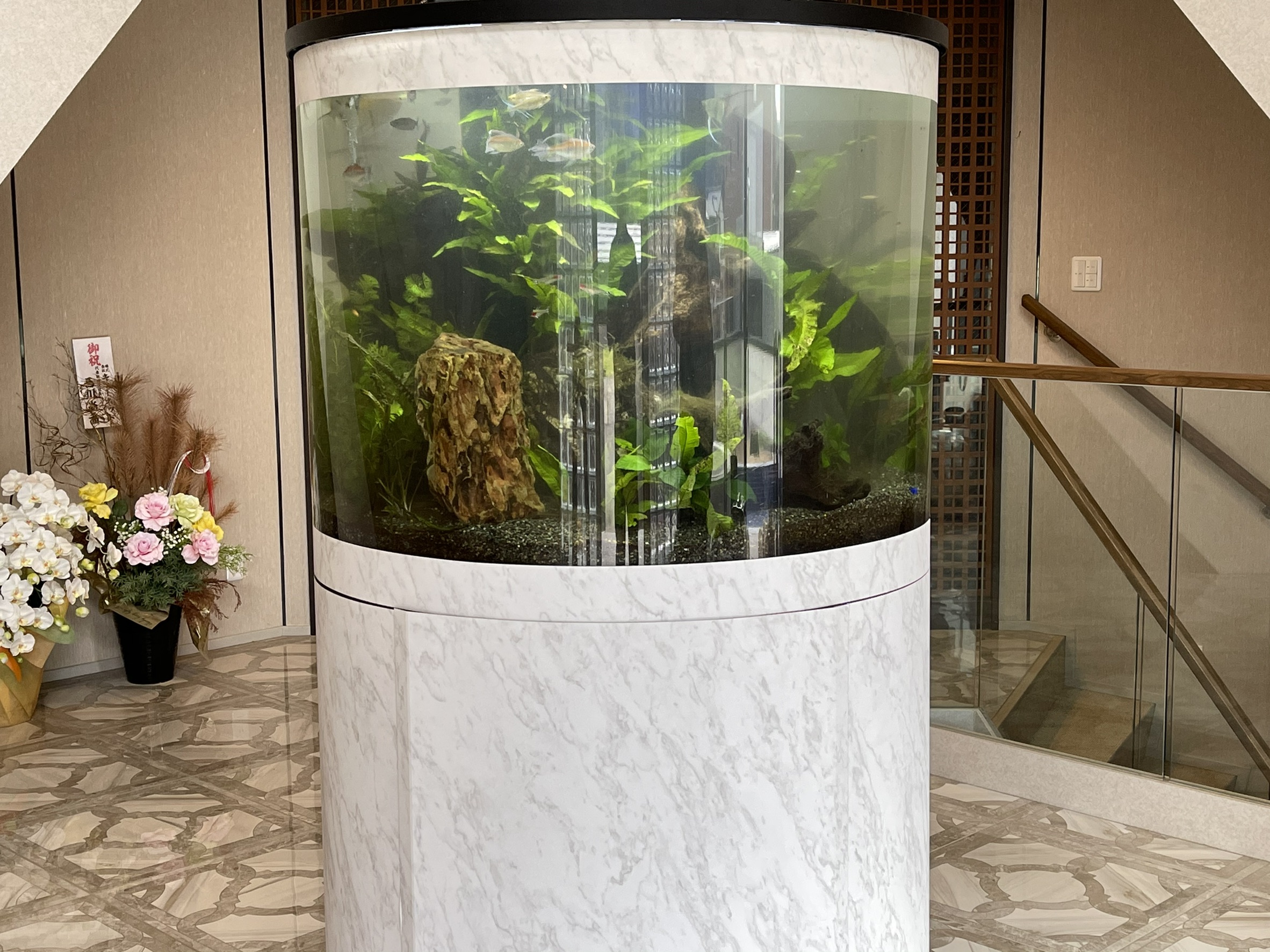 �������[�X�F�{