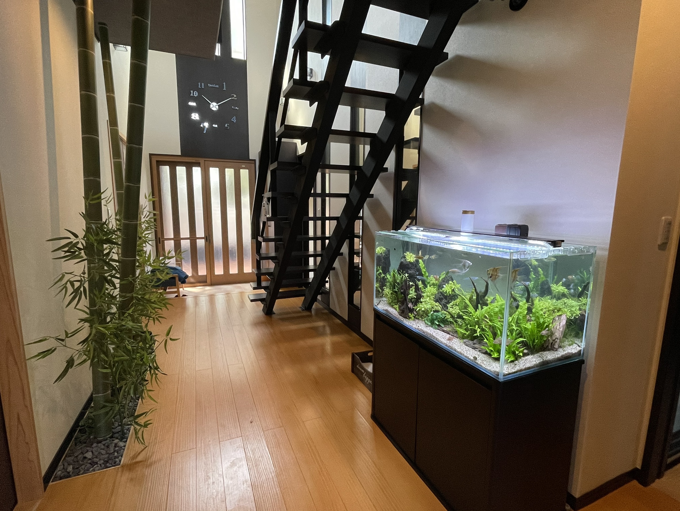 アクアリウム佐賀