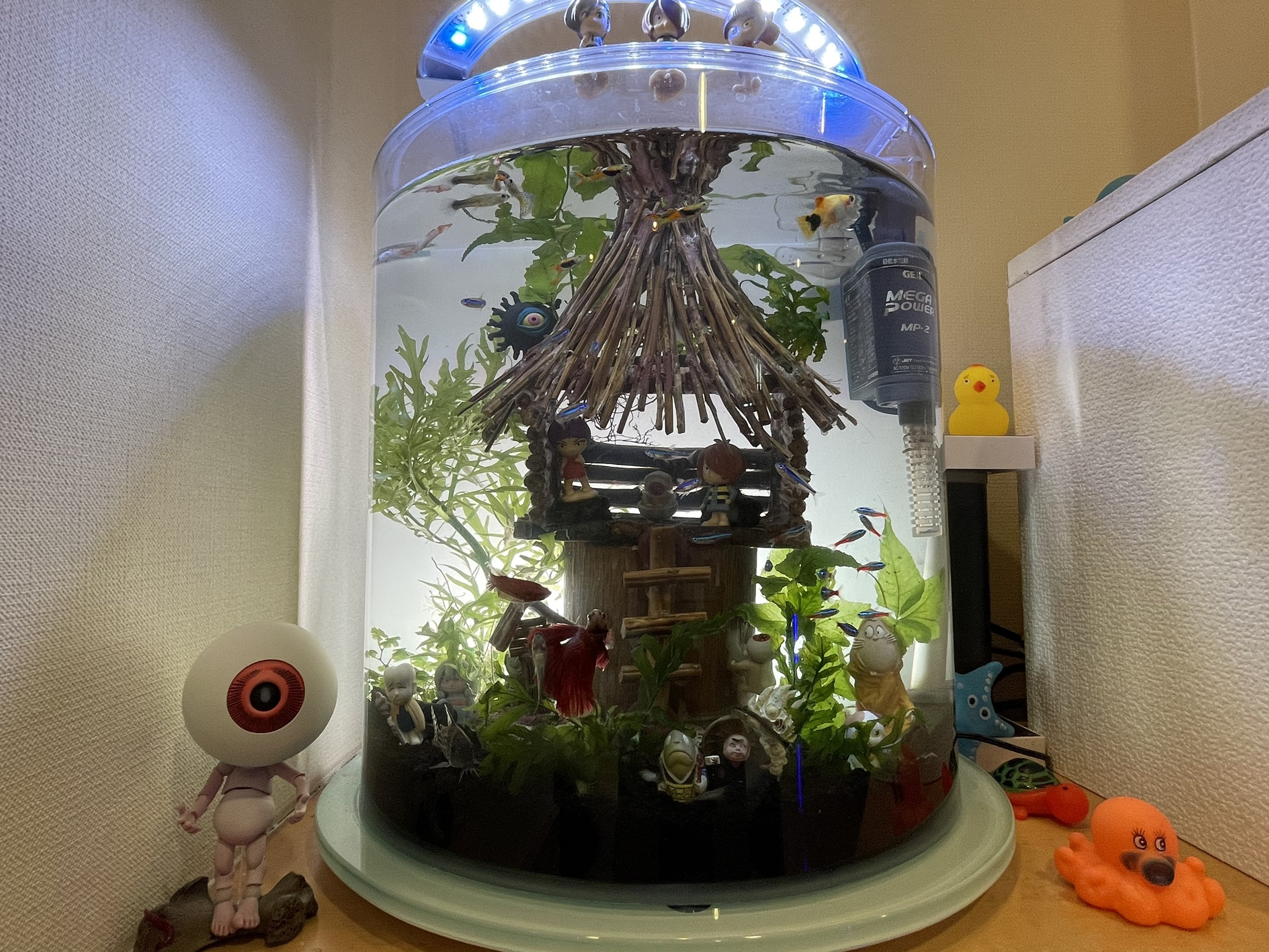 水槽メンテナンス佐賀